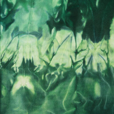MM Slinky Rib - Green Fairy
