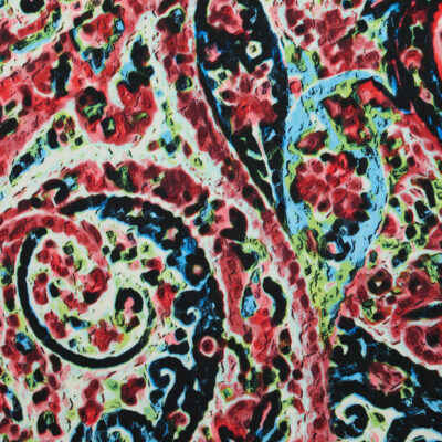 SOLD Perdis Paisley Print Jersey - Multicolour