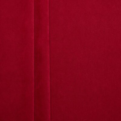 Woven Stretch Moleskin - Red